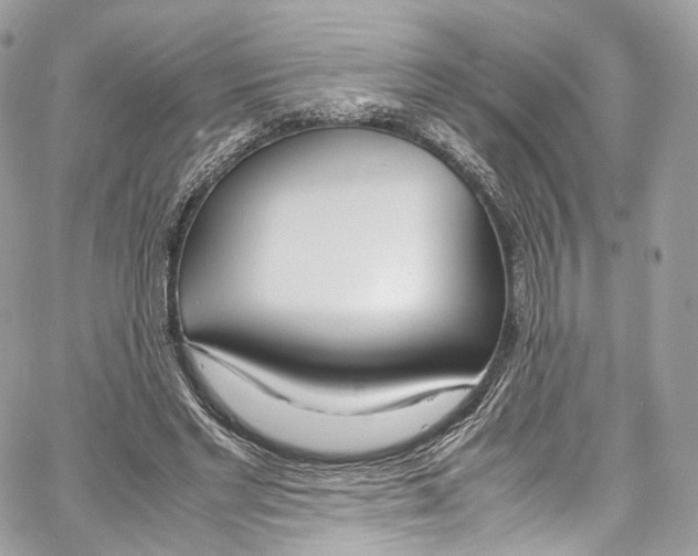 X0000067000493200604241408