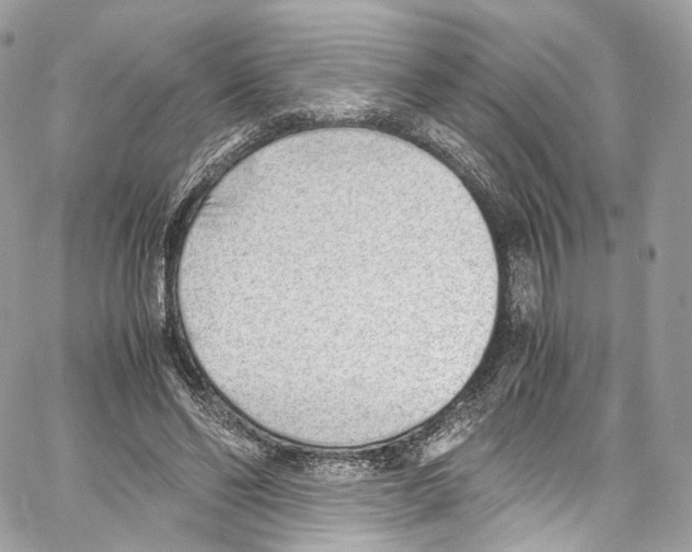 X0000067000494200604241408