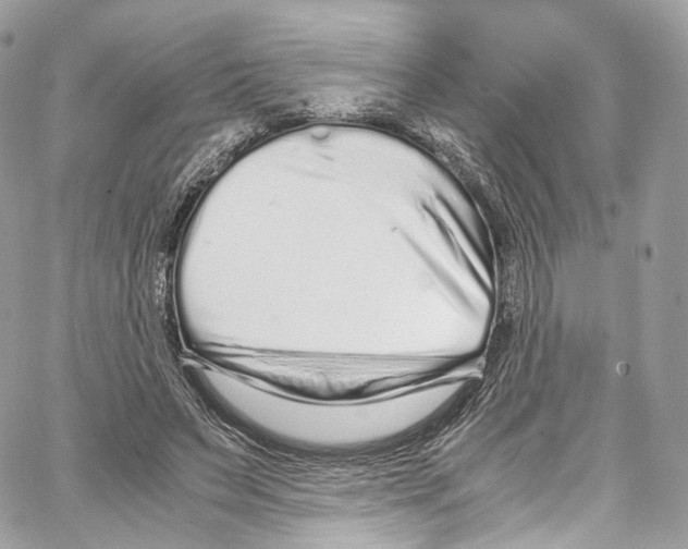 X0000067000495200604241408