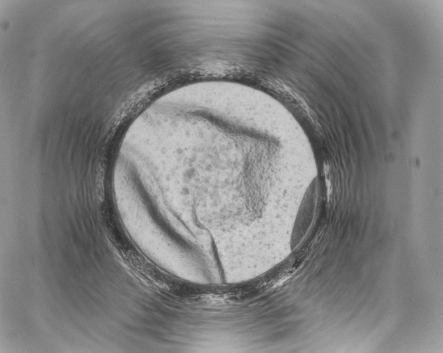 X0000067000496200604241408