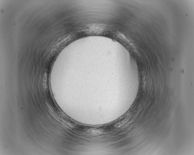 X0000067000498200604241408