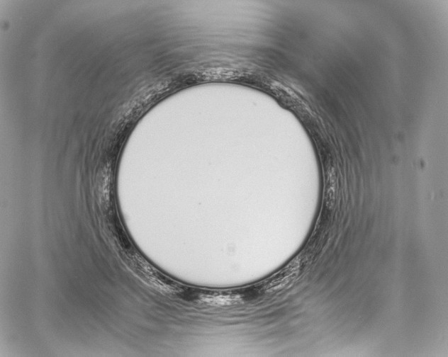 X0000067000499200604241408