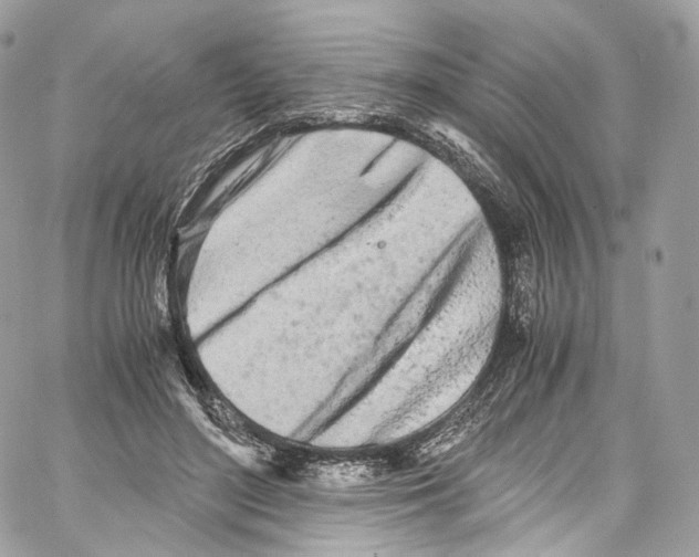 X0000067000500200604241408