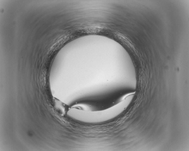 X0000067000501200604241408