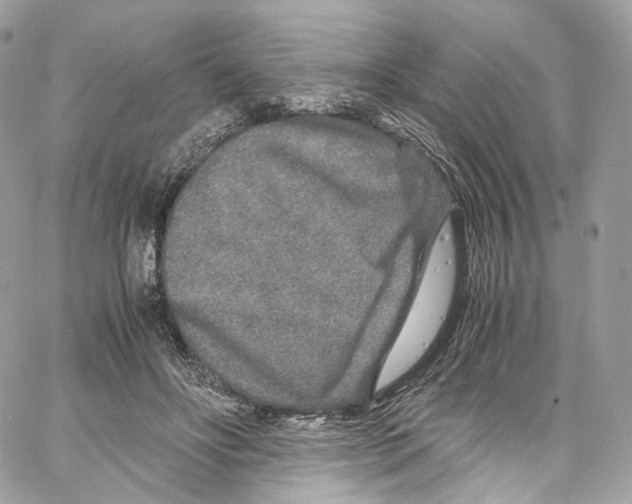 X0000067000502200604241408