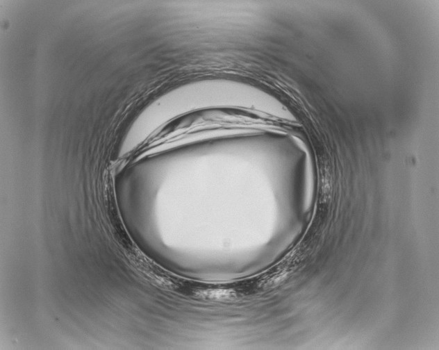 X0000067000503200604241408