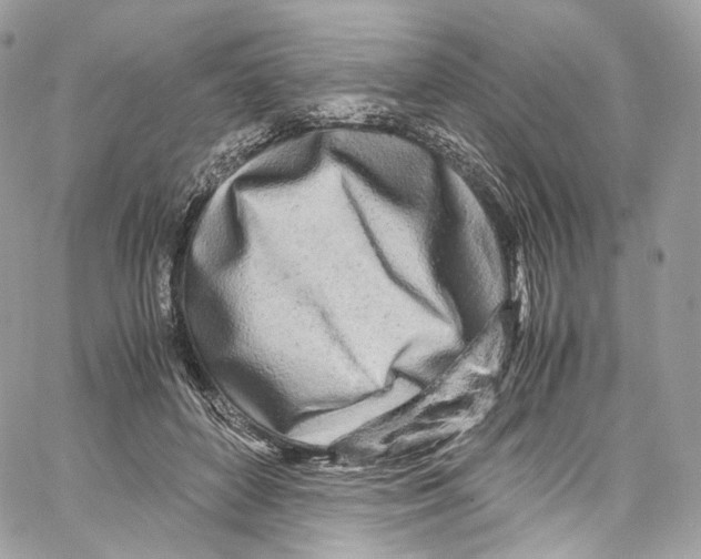 X0000067000504200604241408