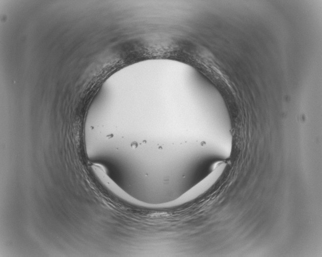 X0000067000505200604241408