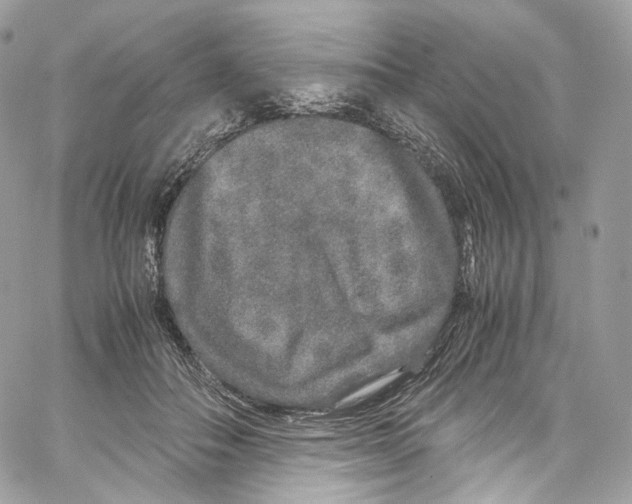 X0000067000506200604241408