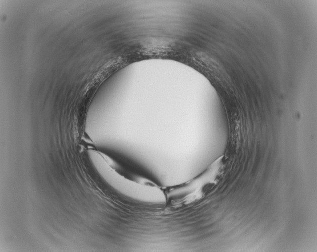 X0000067000508200604241408