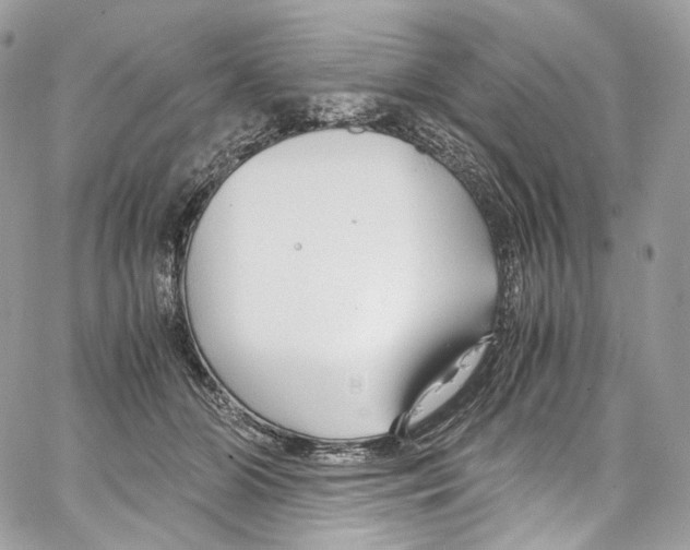 X0000067000510200604241408