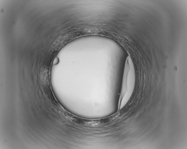 X0000067000511200604241408