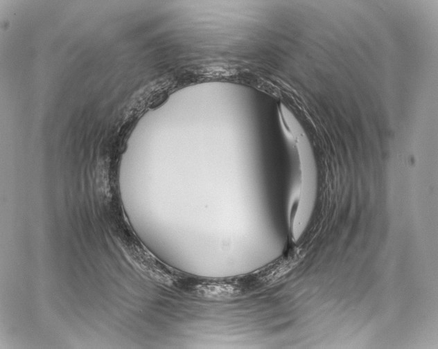 X0000067000512200604241407