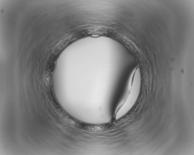 X0000067000513200604241407