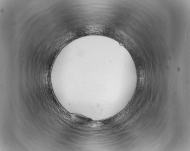 X0000067000514200604241407