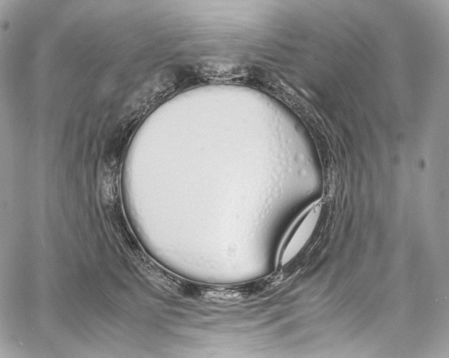 X0000067000515200604241407