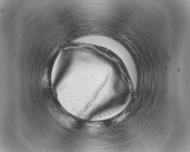 X0000067000516200604241407