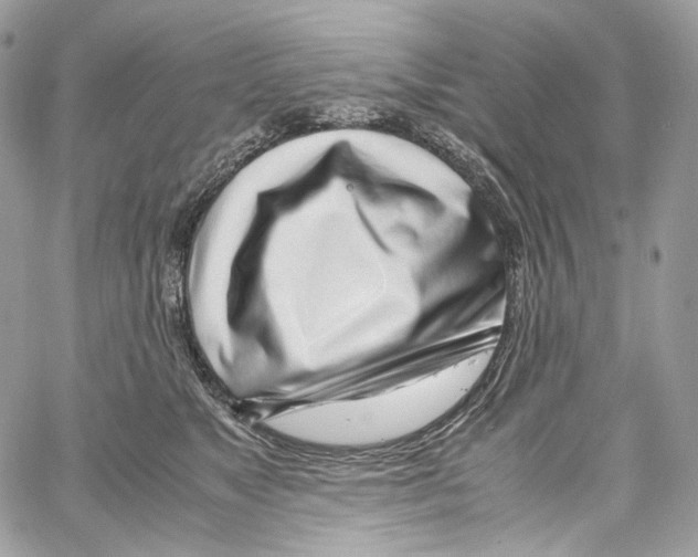 X0000067000517200604241407