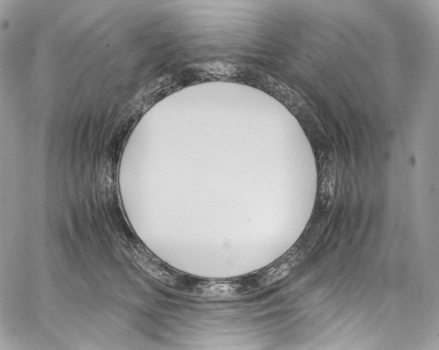 X0000067000518200604241407