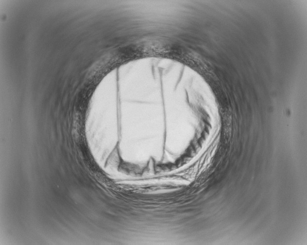 X0000067000519200604241407