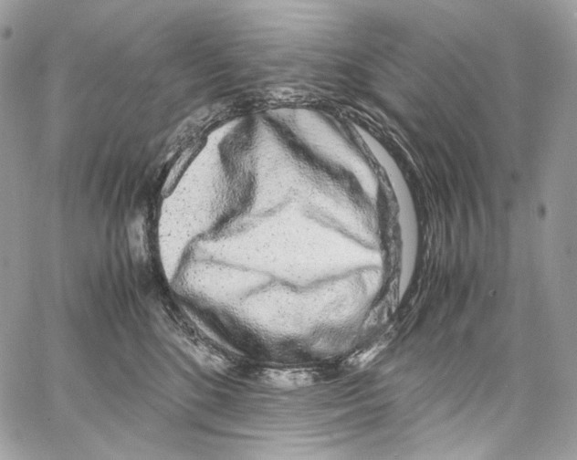 X0000067000520200604241407