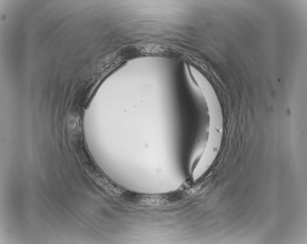 X0000067000521200604241407