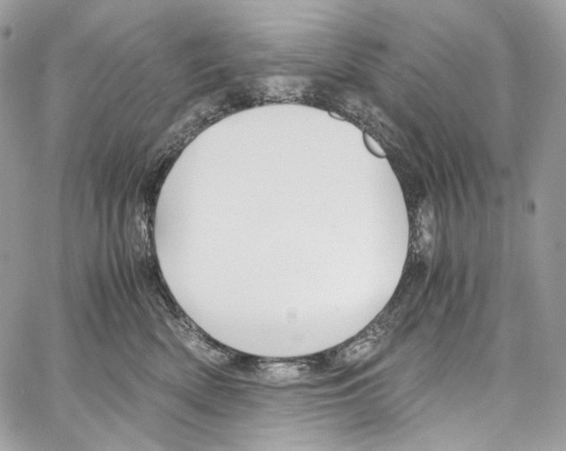 X0000067000522200604241407