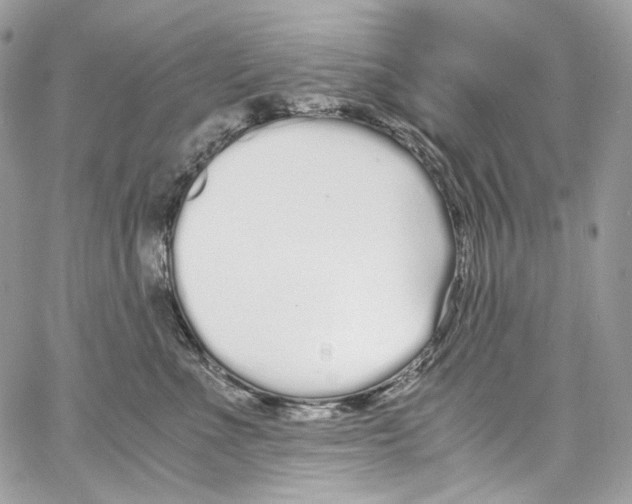 X0000067000523200604241407