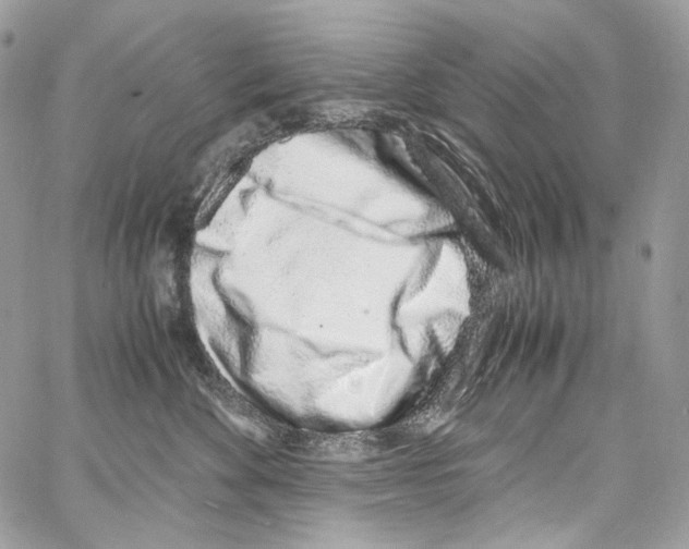 X0000067000524200604241407