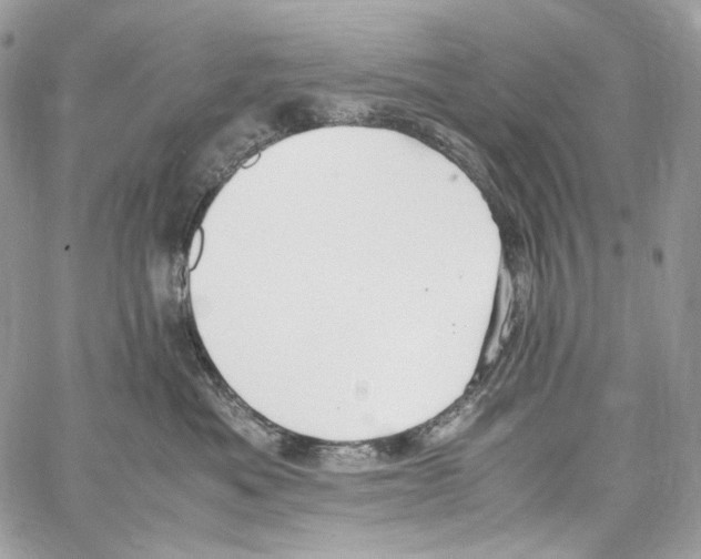 X0000067000525200604241407