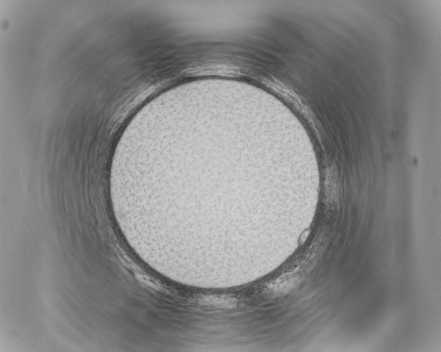 X0000067000529200604241406