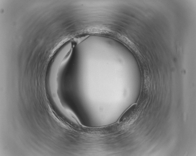 X0000067000530200604241406