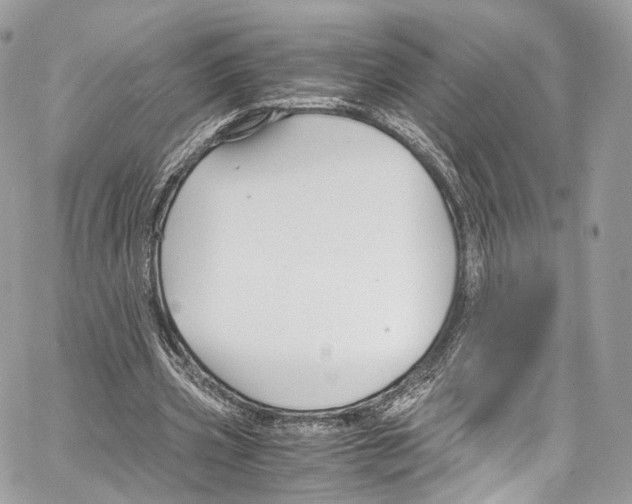 X0000067000533200604241407