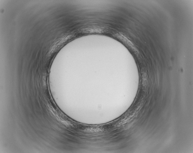 X0000067000537200604241407