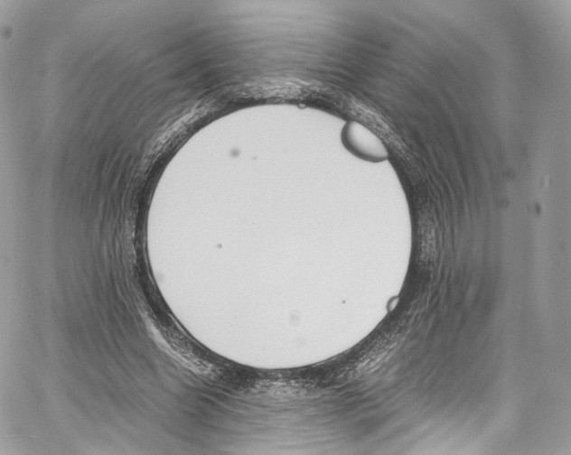 X0000067000538200604241407