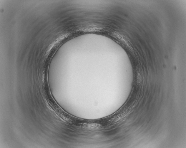 X0000067000539200604241407