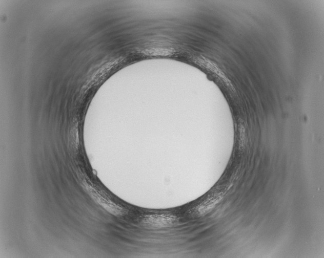 X0000067000541200604241407