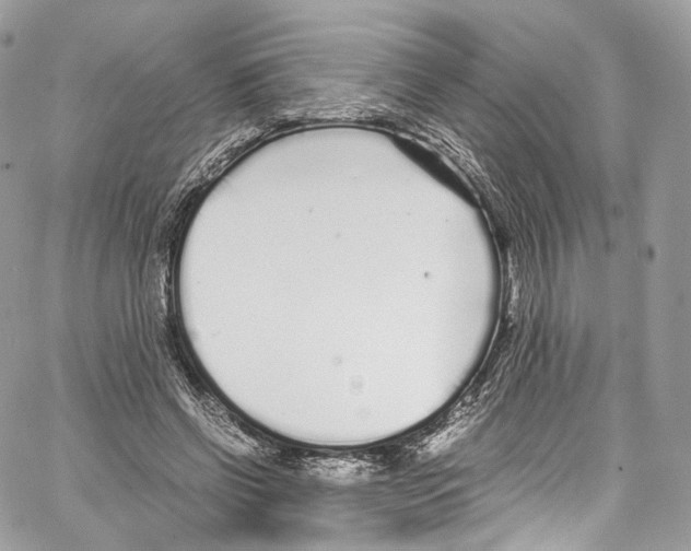 X0000067000542200604241407