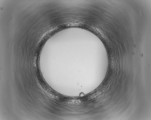 X0000067000543200604241407