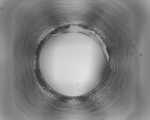 X0000067000544200604241407