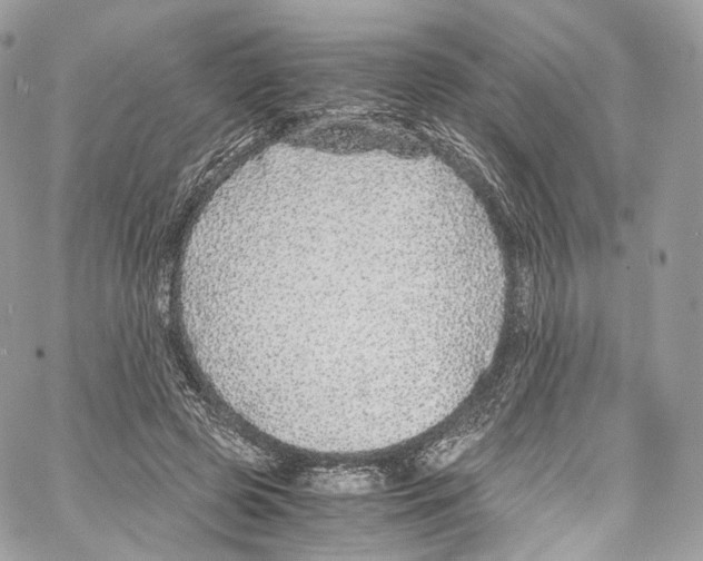 X0000067000545200604241407