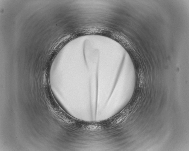 X0000067000546200604241407