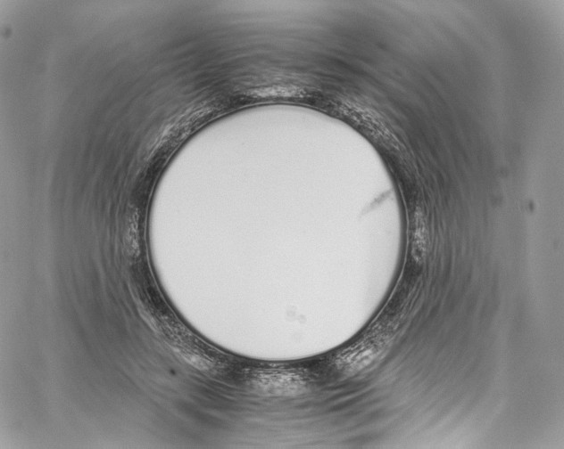 X0000067000547200604241407