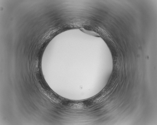 X0000067000548200604241407