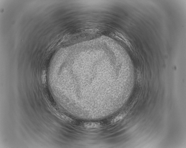 X0000067000549200604241407