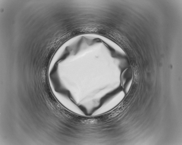 X0000067000551200604241407