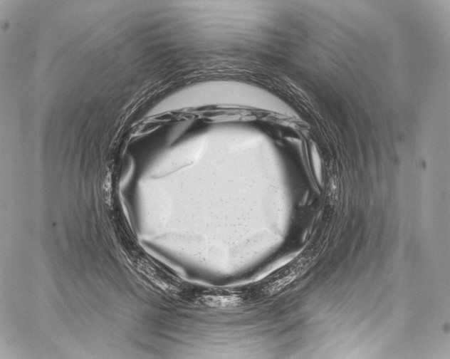 X0000067000552200604241407