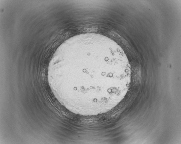 X0000067000553200604241407