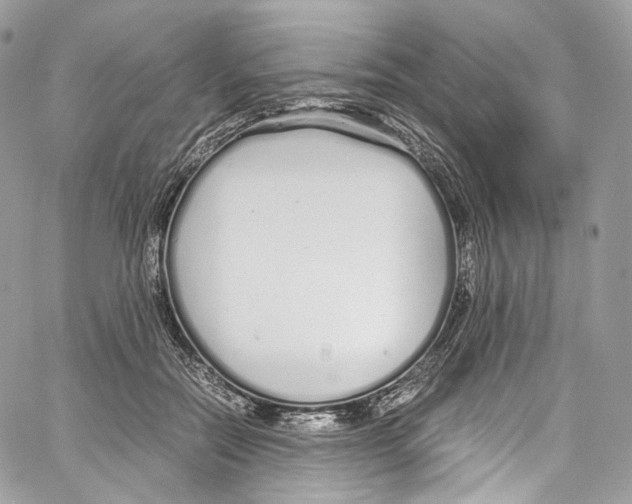 X0000067000554200604241407