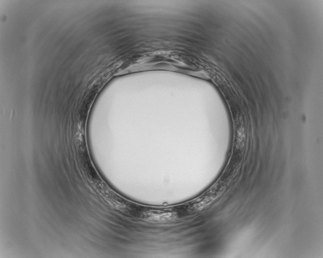 X0000067000555200604241407